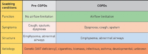 DPOC: DOEN�A OU S�NDROME? VEM A� UMA NOVA CLASSIFICA��O